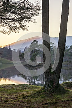 Beautiful landscape image of Tarn Hows in Lake District during beautiful Autumn Fall evening sunset with vibrant colours and still