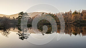 Beautiful landscape image of Tarn Hows in Lake District during beautiful Autumn Fall evening sunset with vibrant colours and still