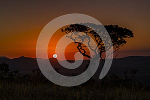 Beautiful landscape image with tree silhouette at orange sunset in Brazil