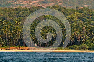 Beautiful landscape of the Indian ocean with coconut trees