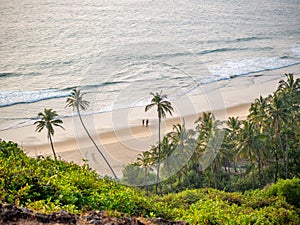 Beautiful landscape of indian ocean with coconut trees and clean beach