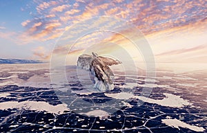 Beautiful landscape island Ogoy winter lake Baikal with transparent cracked blue ice, sunset aerial top view. Concept