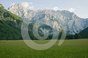 Beautiful landscape of Julian alps in Slovenia. spruce forest on a grassy meadow.