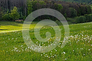 beautiful landscape known as Hell valley near Mosbach in the thuringian forest photo