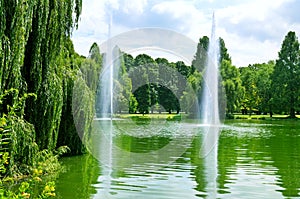 landscape with a lake with fountains and park