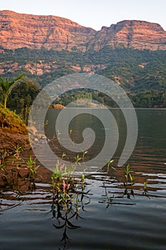 Beautiful landscape of a lake, hills, and valleys