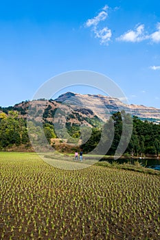 Beautiful landscape of a lake, hills, and valleys