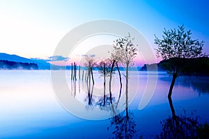 Beautiful landscape with a lake and mountains in the background and trees in the water. Blue and purple color tone