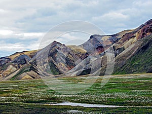 Beautiful landscape of Landmannalaugar geothermal area with river, green grass field and rhyolite mountains, Iceland