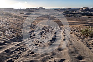 Beautiful landscape at Laoag City Sand dunes