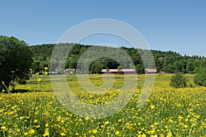 Beautiful landscape  in Lerum,Sweden photo
