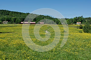 Beautiful landscape  in Lerum,Sweden photo