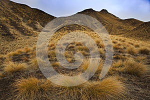 beautiful landscape of lindis pass otago - canterburry region southland new zealand