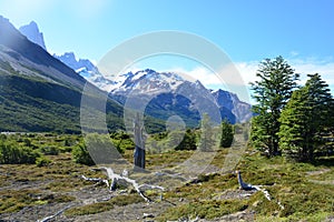 Beautiful landscape in Los Glaciares National Park, El ChaltÃÂ©n, Argentina photo