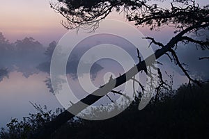 Beautiful landscape in Marimetsa Bog