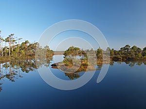 Beautiful landscape in Marimetsa Bog