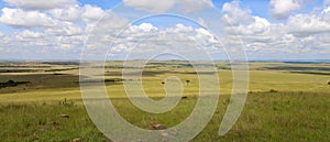 Beautiful landscape at the masai mara