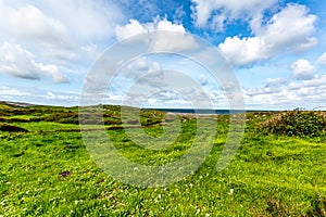 Beautiful landscape of a meadow with green grass