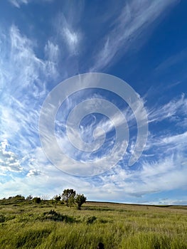 Beautiful landscape on meadow with scenic cloudscape