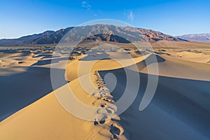 Beautiful landscape  of  Mesquite Flat Sand Dunes. Death Valley National Park, California, USA