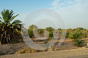 Beautiful landscape in Middle of Sahara Desert in Tunisia, North Africa. Sand dunes and rock formations