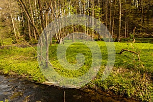 beautiful landscape in mill valley in the thuringian woodland betweeen Eisenberg and Bad Klosterlausnitz photo