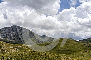 Beautiful landscape in Montenegro with fresh grass and beautiful peaks. Durmitor National Park in Montenegro part of Dinaric Alps.