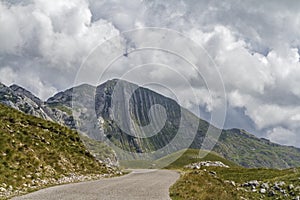 Beautiful landscape in Montenegro with fresh grass and beautiful peaks. Durmitor National Park in Montenegro part of Dinaric Alps.