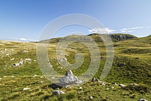 Beautiful landscape in Montenegro with fresh grass and beautiful peaks. Durmitor National Park in Montenegro part of Dinaric Alps.