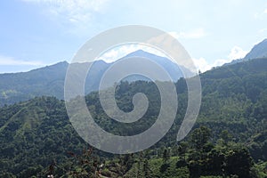 Beautiful Landscape with morning mist in Badulla