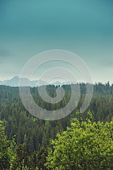 Beautiful landscape of mounatin with light fog