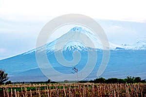 Beautiful landscape with mount Ararat