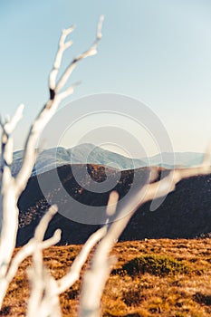 Beautiful Landscape of Mount Hotham and Buller, Victoria, Australia.