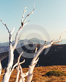 Beautiful Landscape of Mount Hotham and Buller, Victoria, Australia.