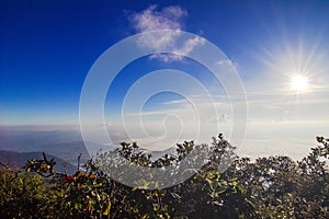 Beautiful landscape on mountain with blue sky and cloud Chiangdoa, Chiang Mai, Thailand