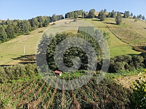 Beautiful landscape of mountain Kopaonik in Serbia, rural scene, majestic pitoresque view, blue clear sky.