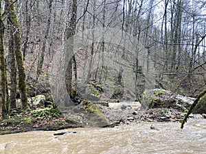 Beautiful landscape of mountain river in amazing and mysterious nature. Mountain waterway flowing through mountainous