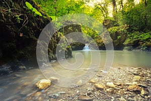 Beautiful landscape with a mountain stream in the forest