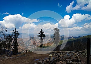 Beautiful landscape with cloud and tree