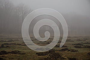 Beautiful landscape of mountains and forest with village building or old abandoned ruined brick house. Foggy forest and old buildi