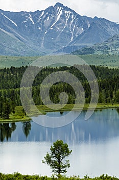 Beautiful Landscape. Mountains, Lake And Forest.