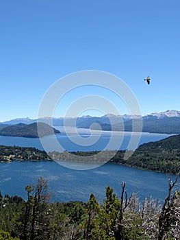 Beautiful landscape of mountains, lakes, trees and a bird in Piedra del Aguila, Argentina. photo