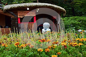 Beautiful landscape of Nami Island, South Korea - July 2016