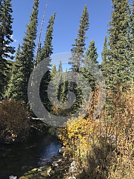 A beautiful landscape of nature in autumn in Canada.  Nature.  Alberta. Brag Creek.