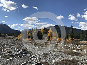 A beautiful landscape of nature in autumn in Canada.  Nature.  Alberta. Brag Creek.