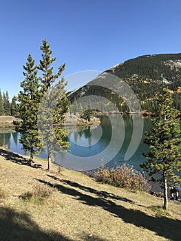 A beautiful landscape of nature in autumn in Canada.  Nature.  Alberta. Brag Creek.