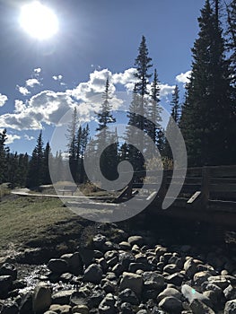 A beautiful landscape of nature in autumn in Canada.  Nature.  Alberta. Brag Creek.