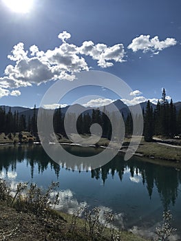 A beautiful landscape of nature in autumn in Canada.  Nature.  Alberta. Brag Creek.