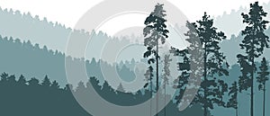 Beautiful landscape, nature. Silhouettes of forest, tall pines, fir trees. Vector illustration