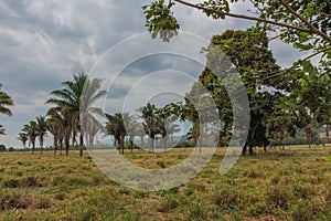 Beautiful landscape and nature in venezuela